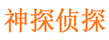 秦淮侦探公司